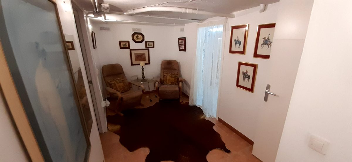 Salón terminado con alfombra de piel y decoración